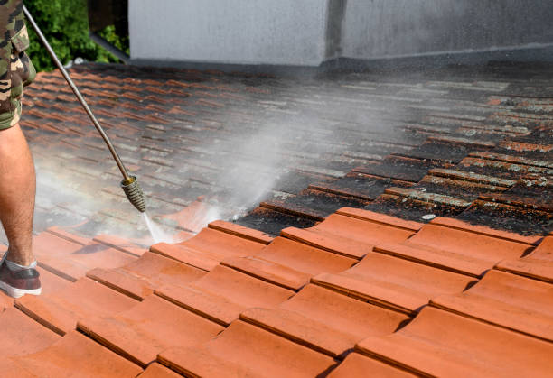 Best Power Washing Near Me  in North Fork, CA