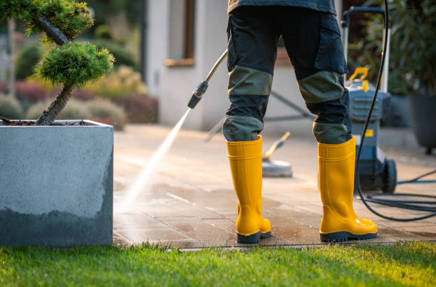 Best Affordable Power Washing  in North Fork, CA